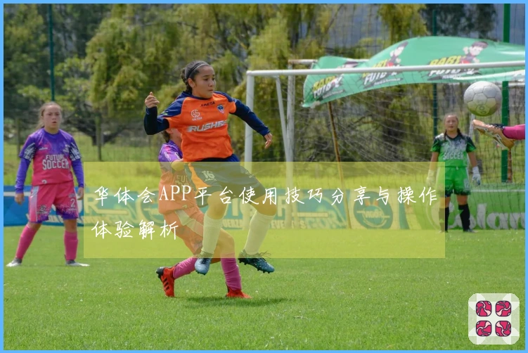 华体会APP平台使用技巧分享与操作体验解析