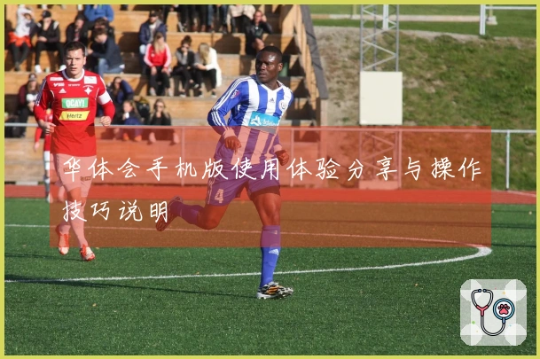 华体会手机版使用体验分享与操作技巧说明